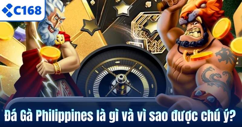Đá Gà Philippines – Sân Chơi Kịch Tính Của Những Chiến Kê Hàng Đầu 5 Đá Gà Philippines là gì và vì sao được chú ý?