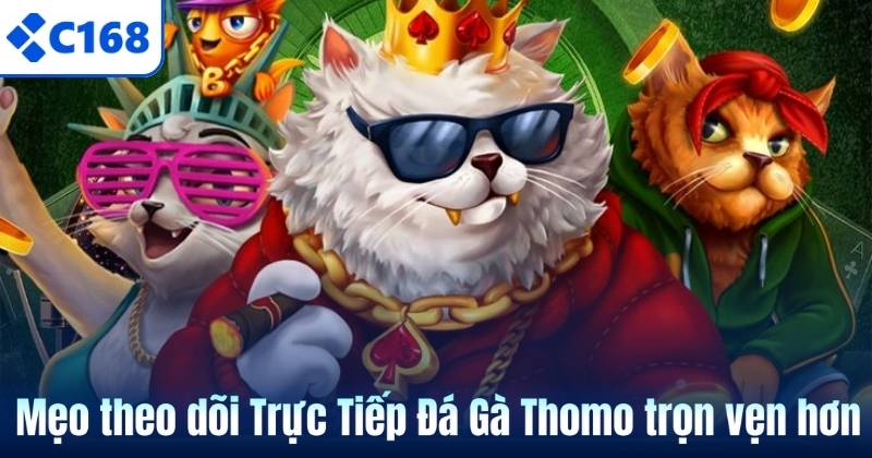 Trực Tiếp Đá Gà Thomo – Hình Thức Giải Trí Kịch Tính Tại C168 6 Mẹo theo dõi Trực Tiếp Đá Gà Thomo trọn vẹn hơn