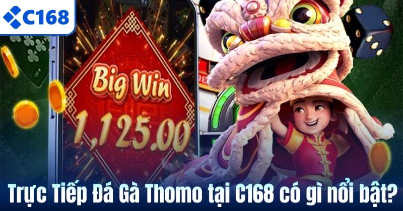 Trực Tiếp Đá Gà Thomo – Hình Thức Giải Trí Kịch Tính Tại C168 5 Trực Tiếp Đá Gà Thomo tại C168 có gì nổi bật?