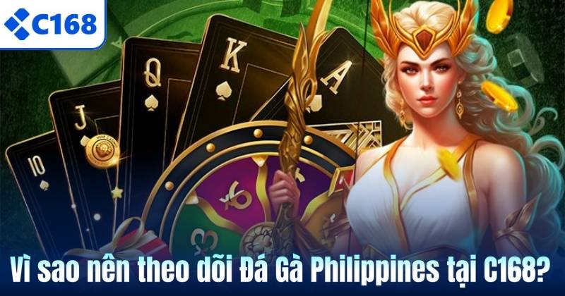 Đá Gà Philippines – Sân Chơi Kịch Tính Của Những Chiến Kê Hàng Đầu 7 Vì sao nên theo dõi Đá Gà Philippines tại C168?