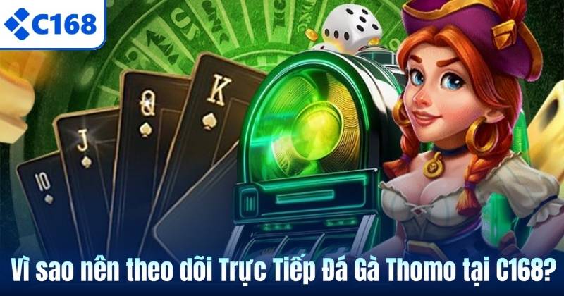 Trực Tiếp Đá Gà Thomo – Hình Thức Giải Trí Kịch Tính Tại C168 7 Vì sao nên theo dõi Trực Tiếp Đá Gà Thomo tại C168?